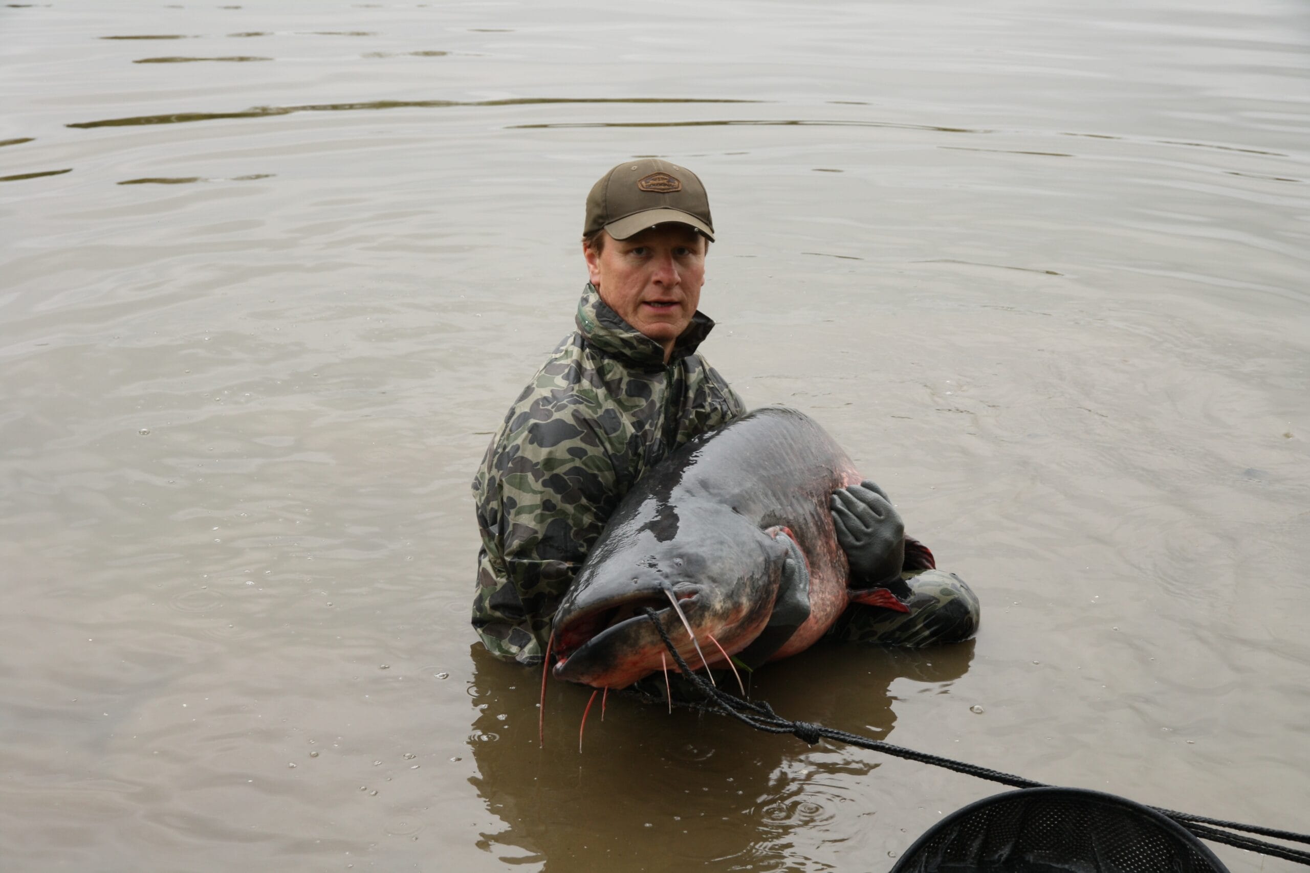 catfish