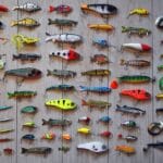 lure bait