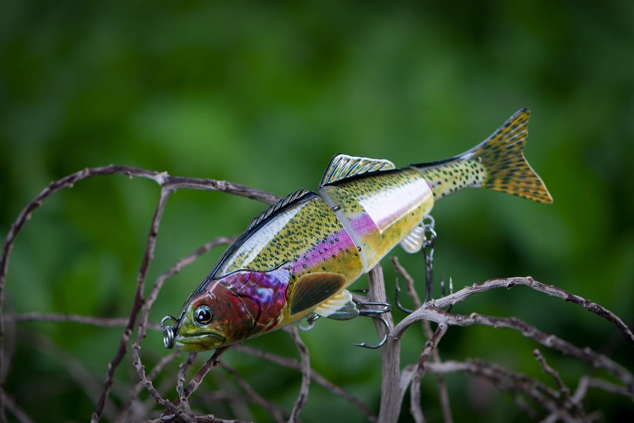 Fishing scene / lure image