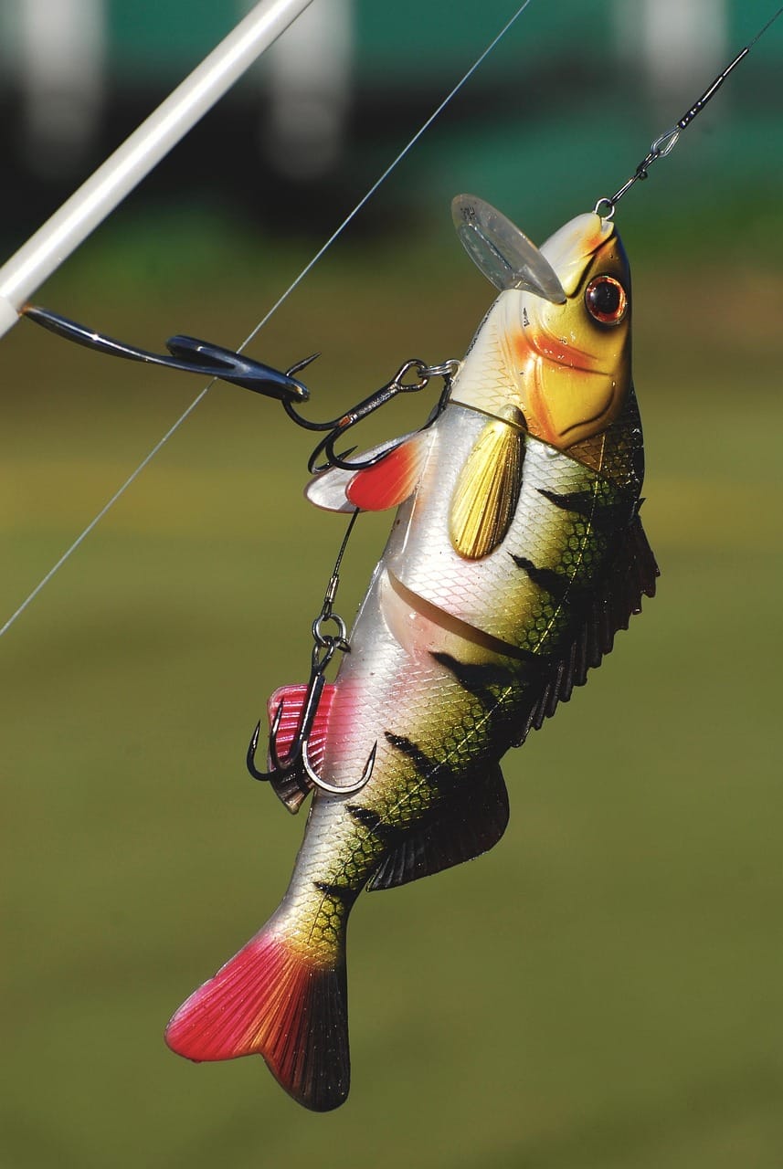Lure Fishing
