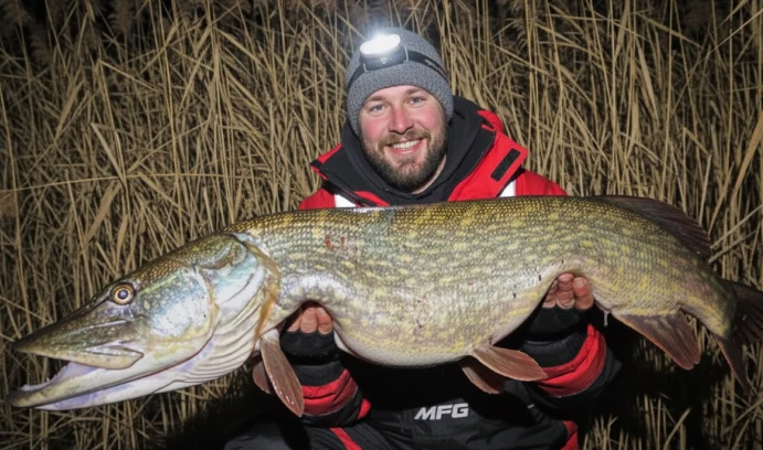 Winter night pike fishing – angler holding a giant pike in freezing darkness