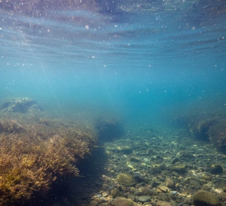 Clear winter water revealing underwater structure and visibility, showing how pike water clarity shapes winter behavior