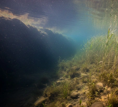 spring pike fishing migration route showing deep to shallow water transition with reed bay habitat