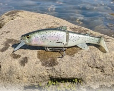 River2Sea S-Waver 120 Rainbow Trout glide bait for spring pike fishing