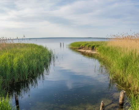 spring pike migration route channel between reeds connecting deep winter water to shallow pre spawn feeding zones