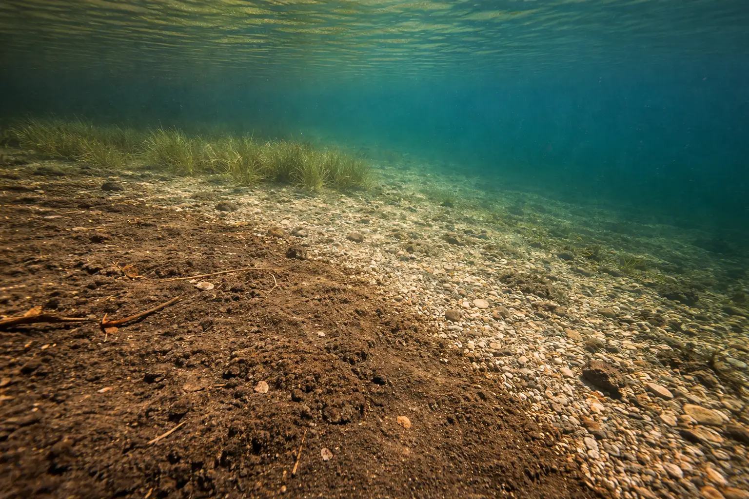 Subtle bottom transition from soft silt to firm gravel where post-spawn pike stage