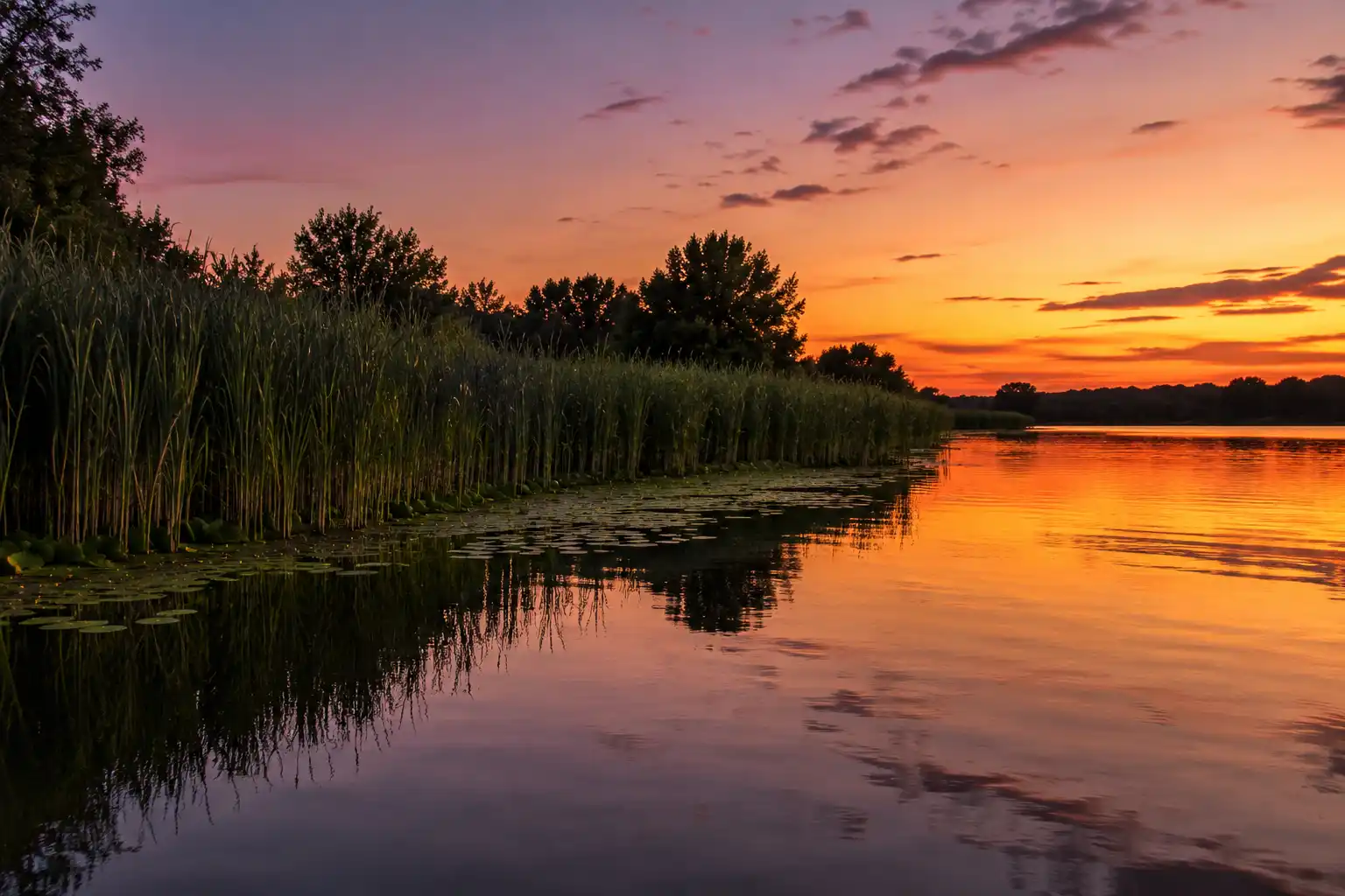 Summer lake at sunrise with golden morning light reflecting on calm water — prime topwater pike feeding window