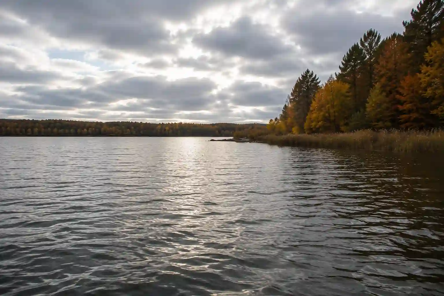 Calm fall lake under stable overcast conditions, the type of weather experienced pike anglers look for when planning productive autumn fishing trips