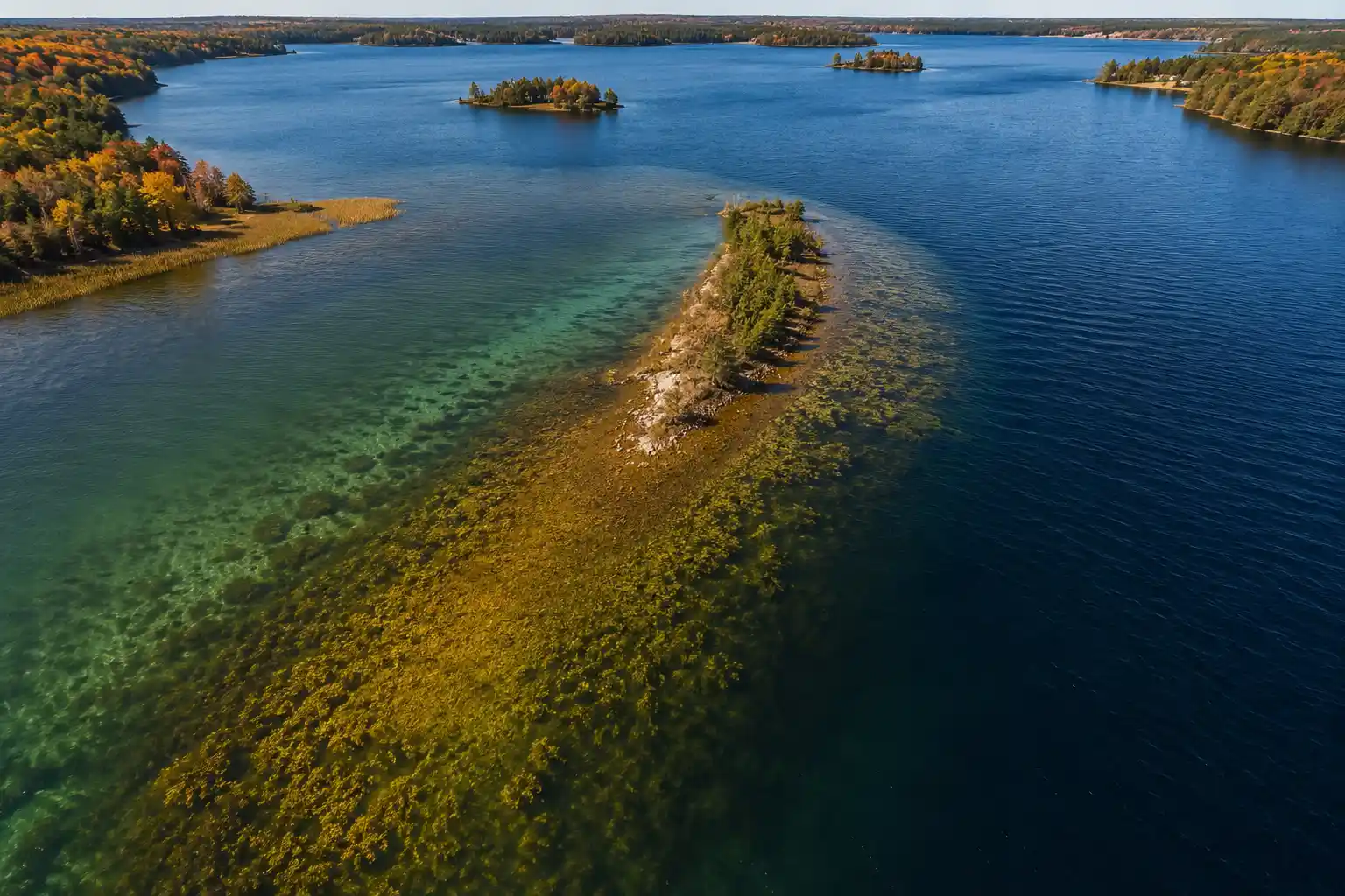 Outside weed edge and main-lake point during mid fall where northern pike stage near deeper water and forage