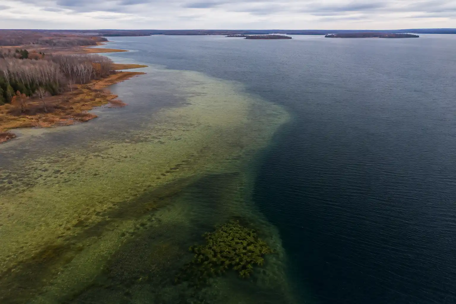 Late fall basin edge and steep breakline where to find pike in fall as water temperatures reach the low 40s°F and forage concentrates near deep water