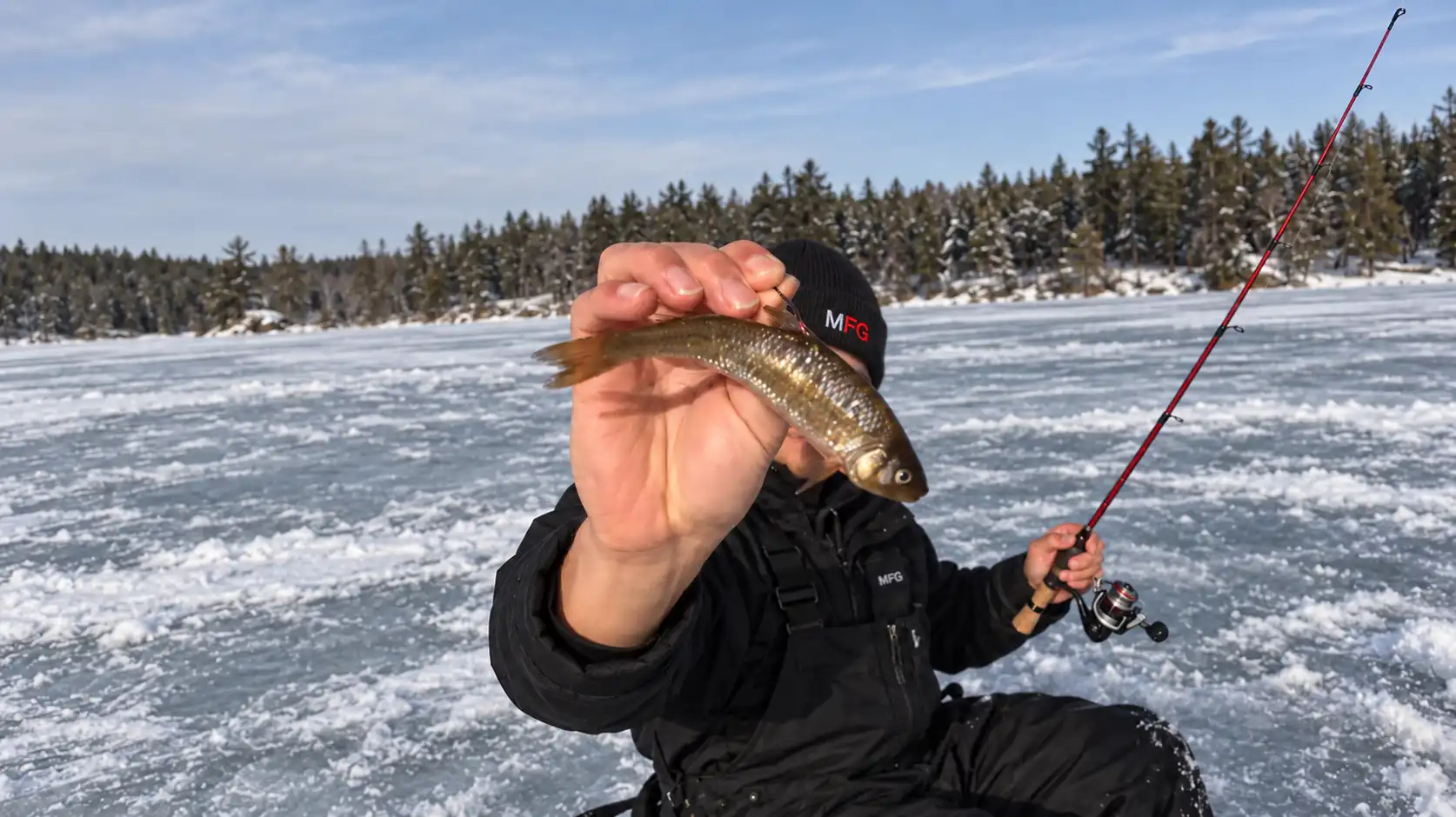 MFG angler holding a baitfish hooked behind the dorsal fin — live bait for ice fishing pike